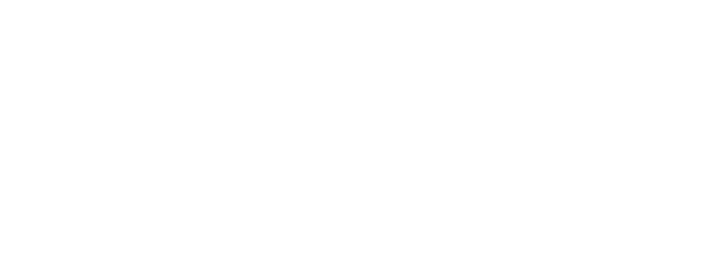 Federicca-Rinaudo-logo-website